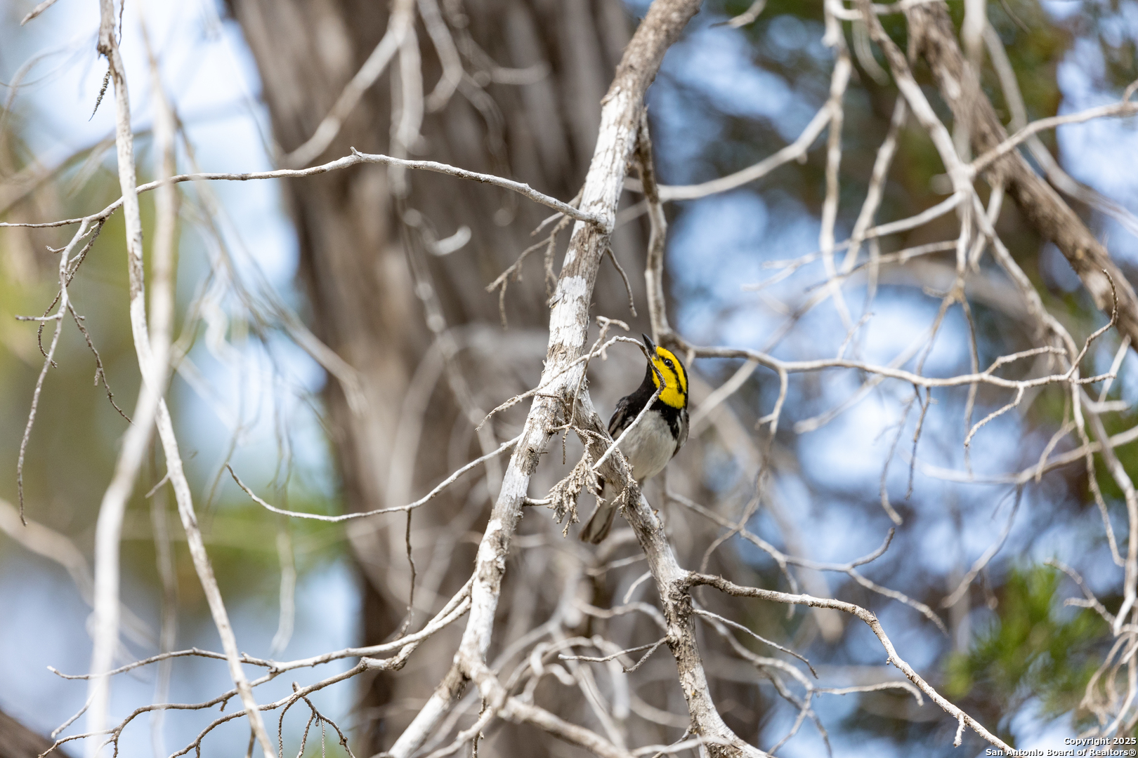 83 North U.S. Highway 83 Leakey, TX 78873 - Photo 13 of 19