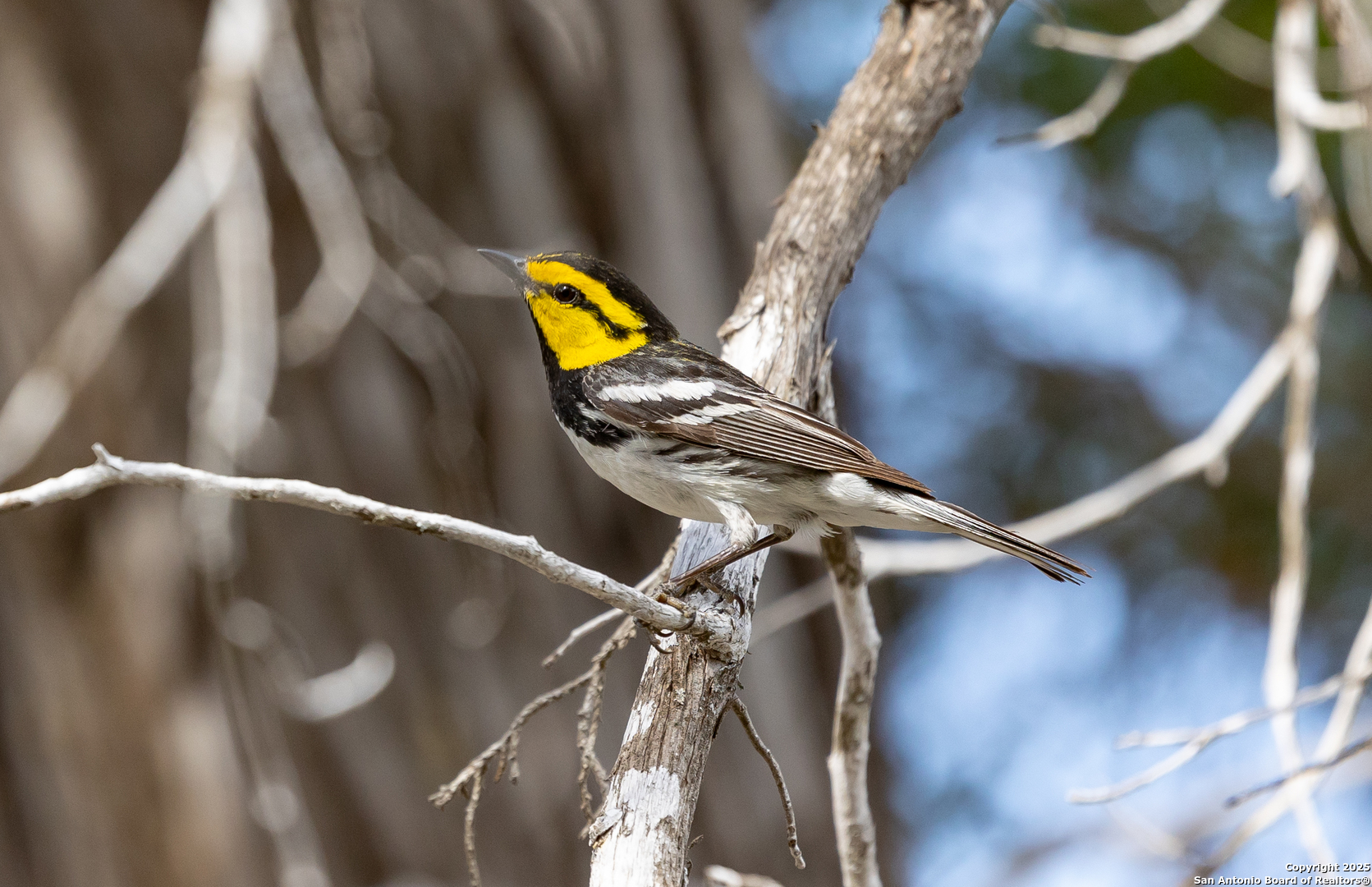 83 North U.S. Highway 83 Leakey, TX 78873 - Photo 14 of 19 a view of staircase with wooden floor