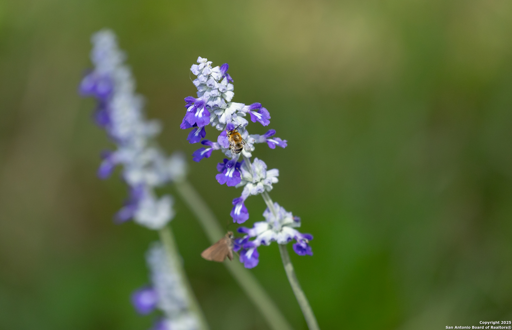 83 North U.S. Highway 83 Leakey, TX 78873 - Photo 15 of 19