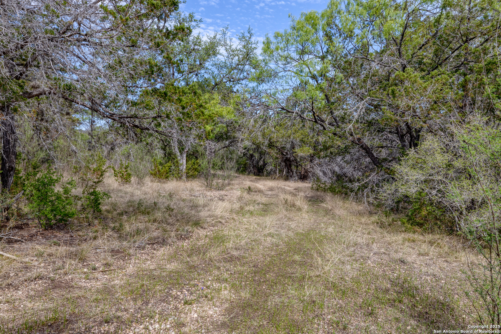 83 North U.S. Highway 83 Leakey, TX 78873 - Photo 4 of 19 a view of a forest with trees in the background