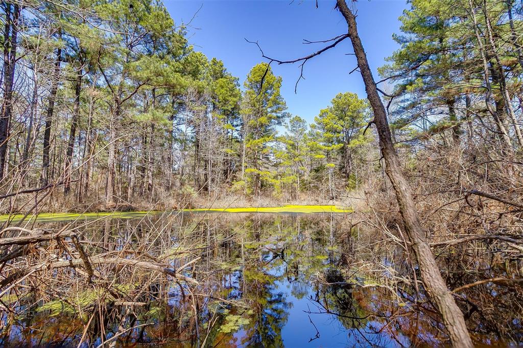 439 County Road 3190 Winnsboro, TX 75494 - Photo 17 of 21