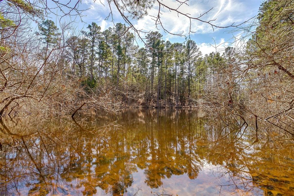 439 County Road 3190 Winnsboro, TX 75494 - Photo 19 of 21