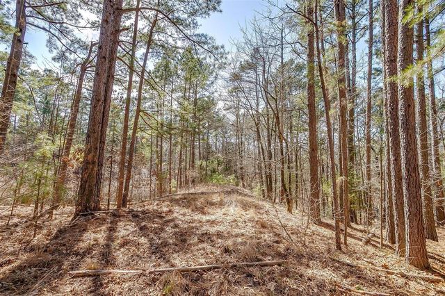 $799,000 | 439 County Road 3190, Winnsboro, TX 75494