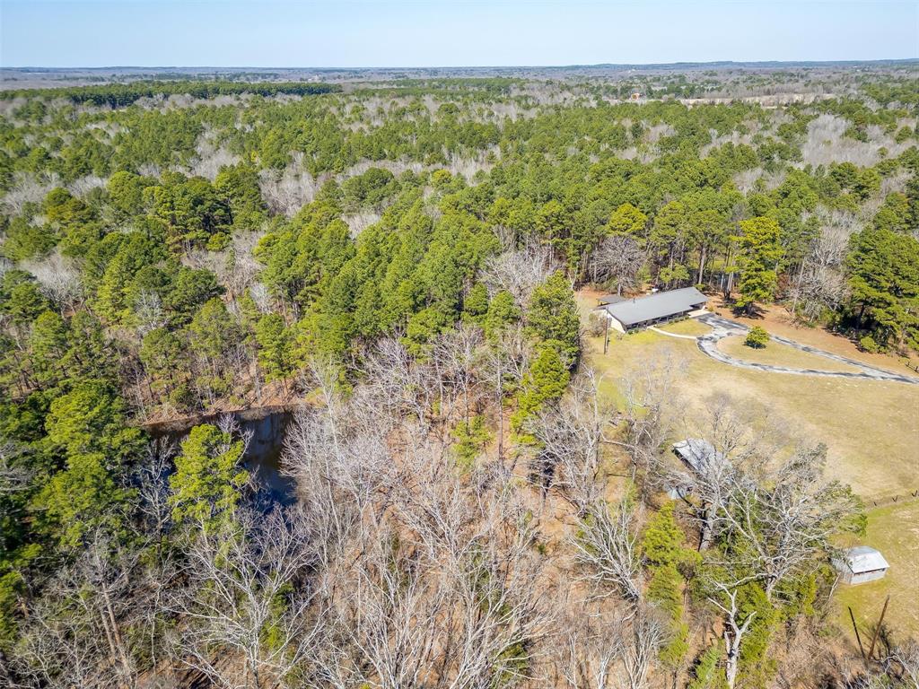439 County Road 3190 Winnsboro, TX 75494 - Photo 2 of 21