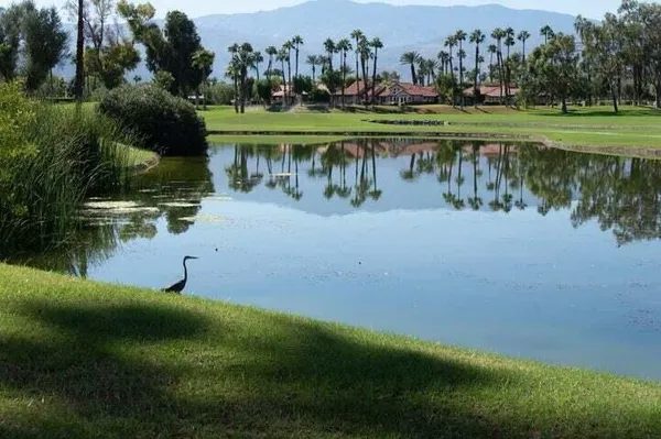 a view of a lake with houses in background