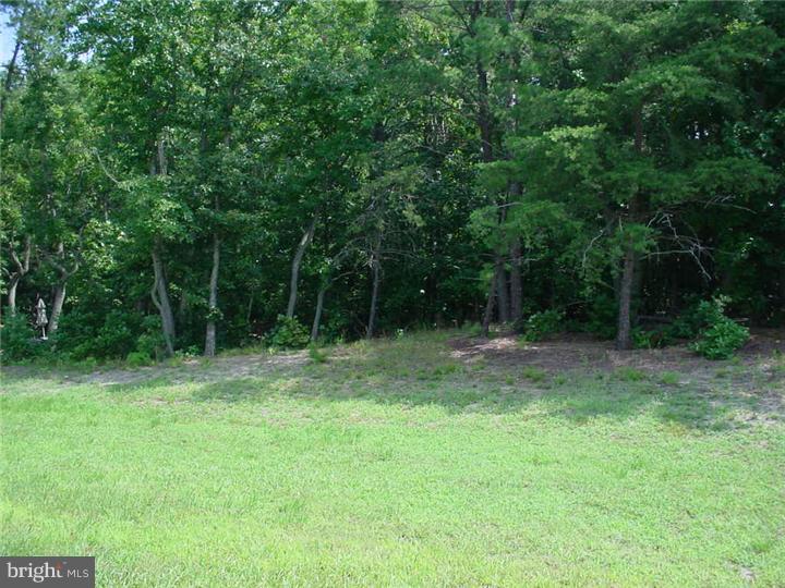 9 Ragan Ridge Road Sicklerville, NJ 08081 - Photo 15 of 15 View in Back