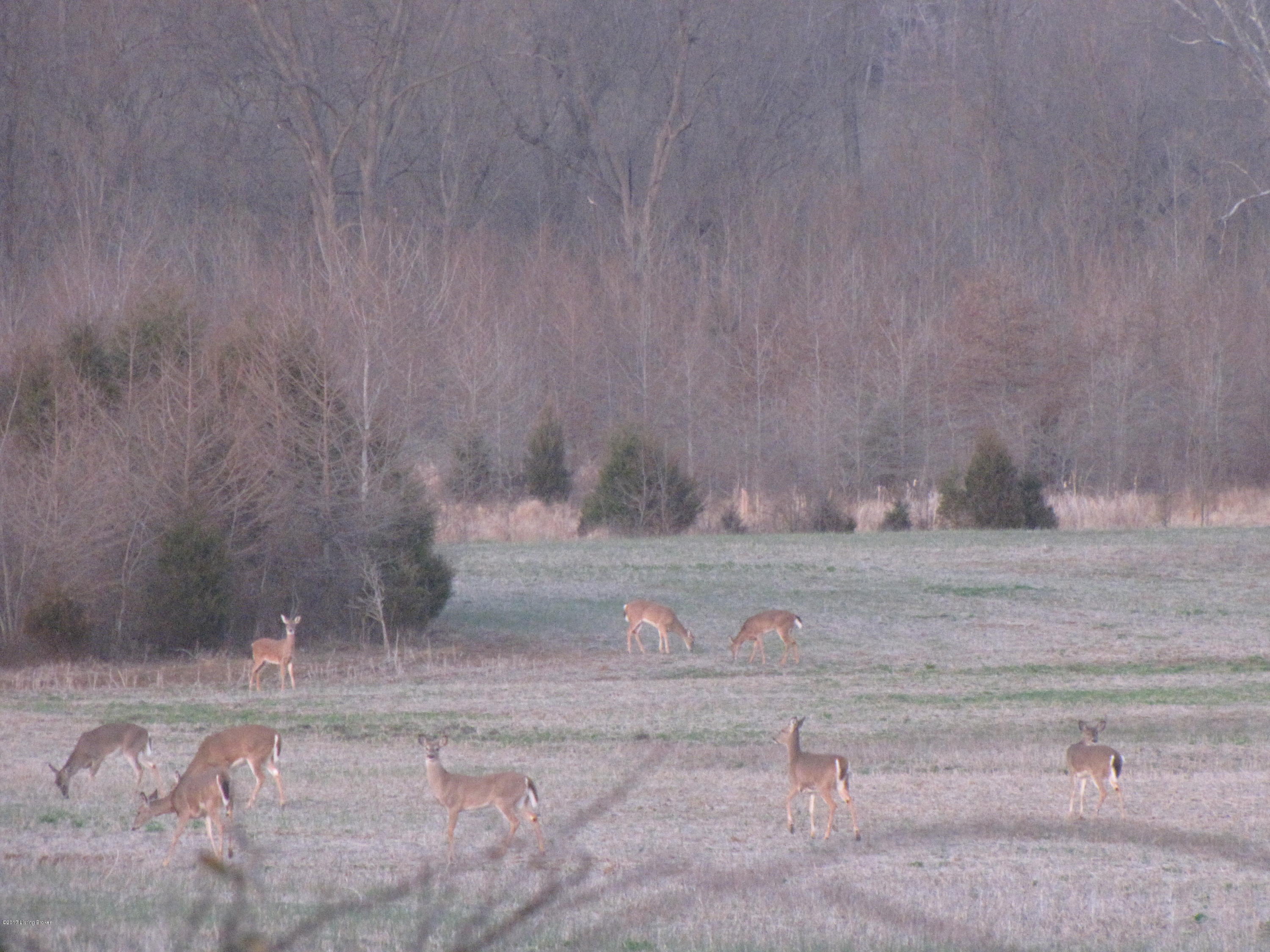 728 North Stillwell Road Boston, KY 40107 - Photo 2 of 15 IMG_5777