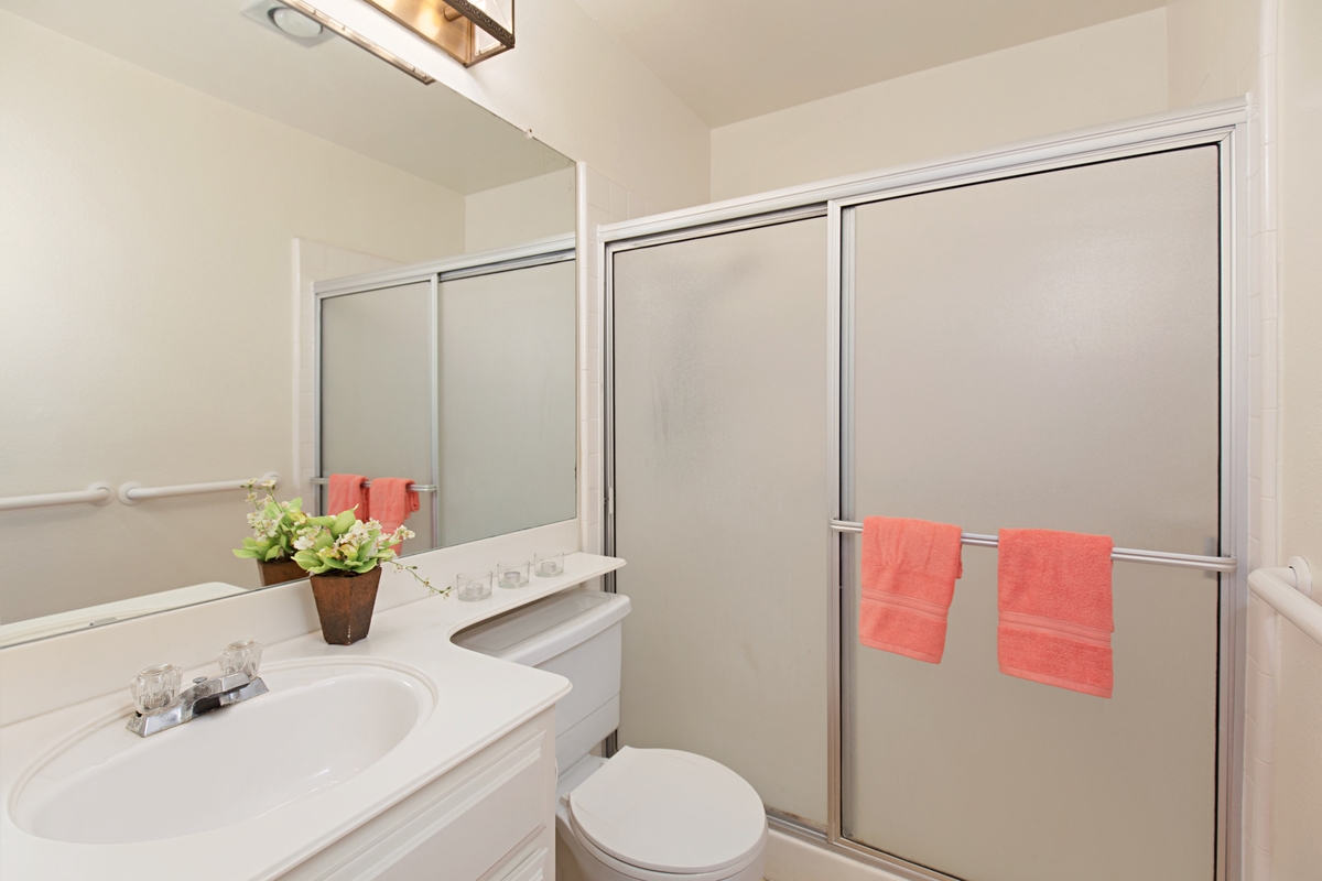 1982 Fairlee Drive Encinitas, CA 92024 - Photo 13 of 25 Walk in wall to wall shower.