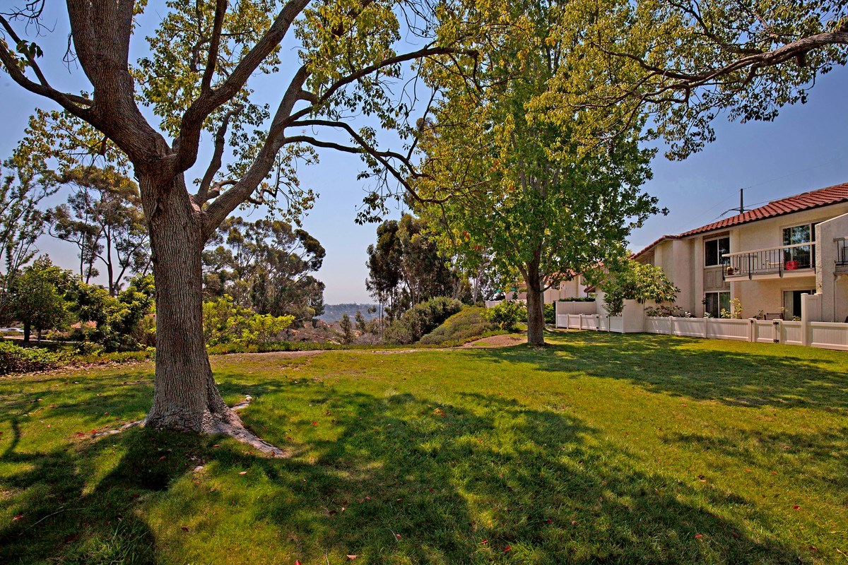 1982 Fairlee Drive Encinitas, CA 92024 - Photo 21 of 25 Green belt with mature trees.