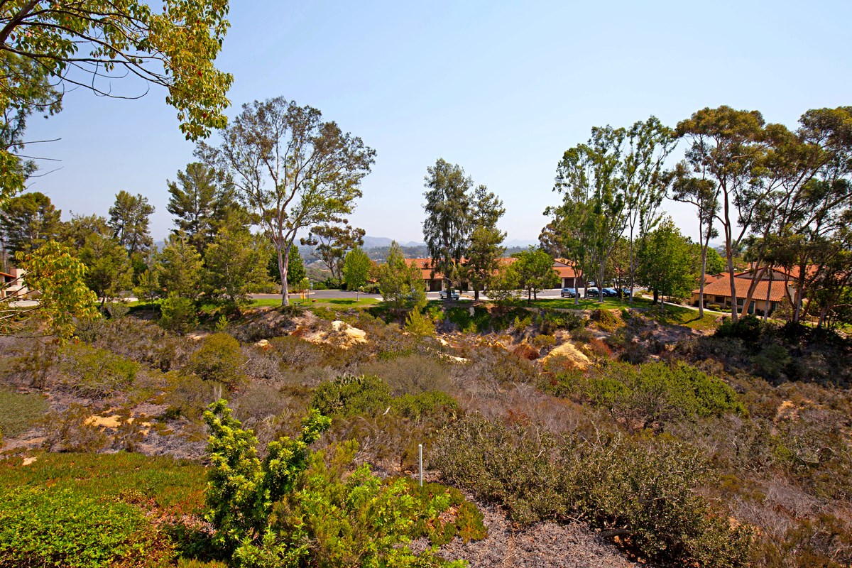 1982 Fairlee Drive Encinitas, CA 92024 - Photo 24 of 25 Canyon with native vegetation