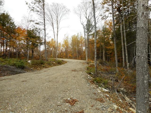 Tbd Pug Lakes Road Lakeville, ME 04487 - Photo 6 of 11 Photo