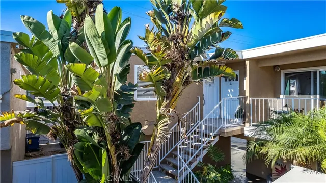 a view of a potted plants on a balcony