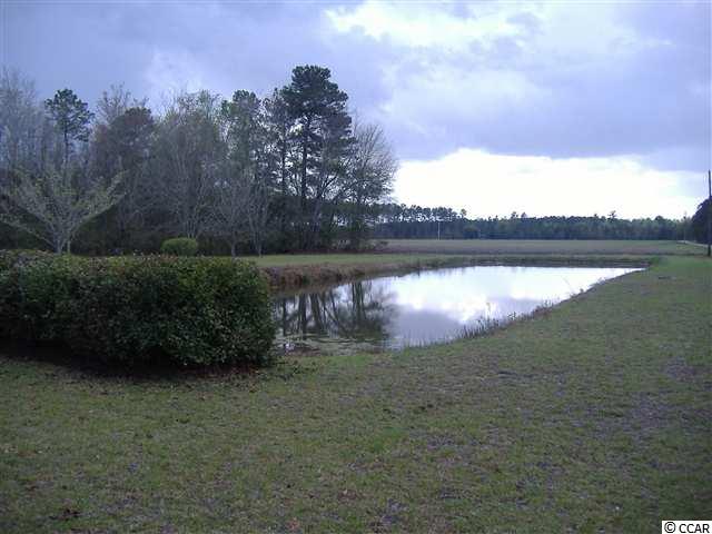 207 Farmingdale Road Nichols, SC 29581 - Photo 7 of 15 Gallery Image 7