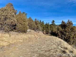 8 Laughing Valley Ranch Road Idaho Springs, CO 80452 - Photo 3 of 14 Gallery Image 3