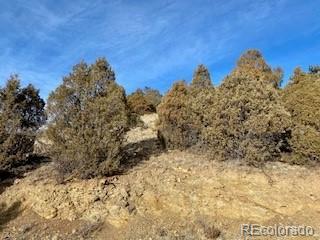 8 Laughing Valley Ranch Road Idaho Springs, CO 80452 - Photo 4 of 14 Gallery Image 4
