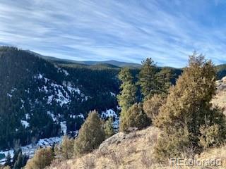 8 Laughing Valley Ranch Road Idaho Springs, CO 80452 - Photo 6 of 14 Gallery Image 6