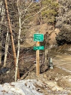 8 Laughing Valley Ranch Road Idaho Springs, CO 80452 - Photo 8 of 14 Gallery Image 8