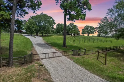 a view of a bench in the garden
