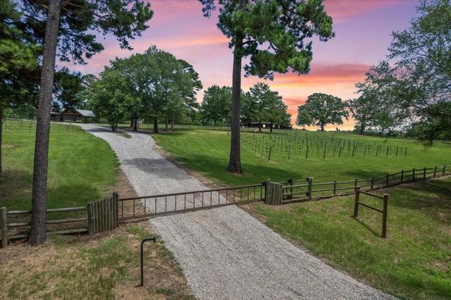a view of a bench in the garden