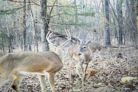 a brick building with a bench in front of it