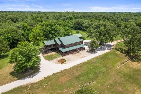 a view of a backyard with plants and a garden