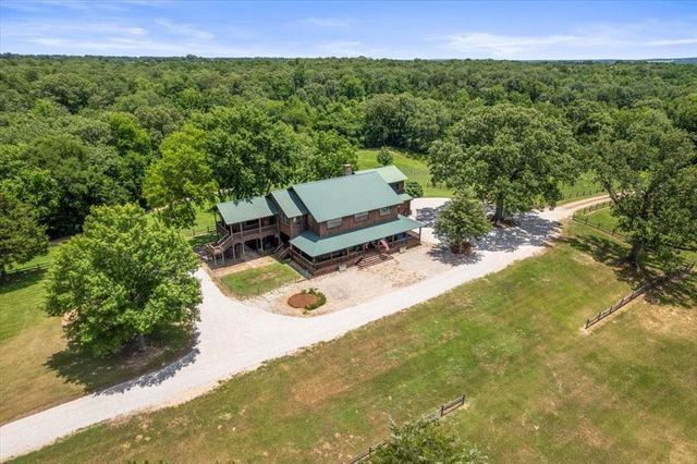 a view of a backyard with plants and a garden