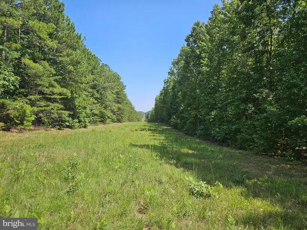 $389,900 | 100-ac West James Anderson Highway, Gladstone, VA 24553