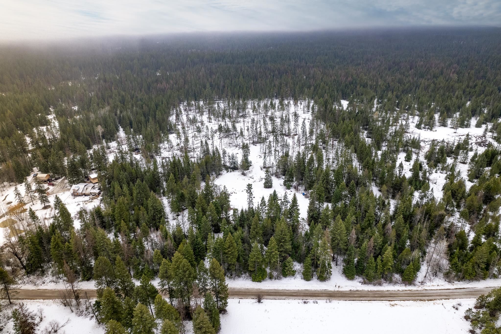 4647 Lyons Hill Road Springdale, WA 99173 - Photo 4 of 17
