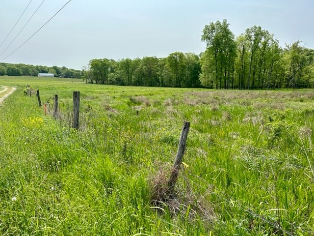 517 Pinegrove School Road Venus, PA 16364 - Photo 7 of 41