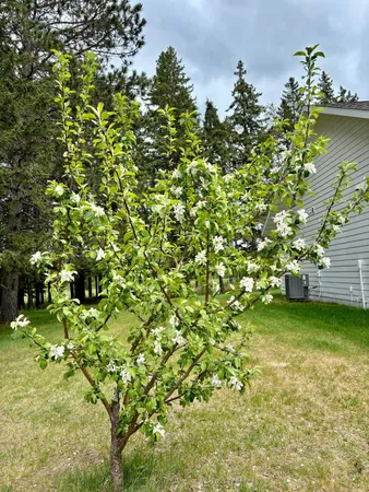 $499,900 | 1622 82nd Avenue Northwest, Williams, MN 56686