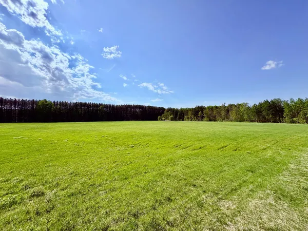 $499,900 | 1622 82nd Avenue Northwest, Williams, MN 56686