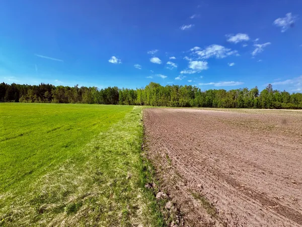 $499,900 | 1622 82nd Avenue Northwest, Williams, MN 56686