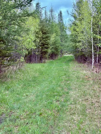 $499,900 | 1622 82nd Avenue Northwest, Williams, MN 56686