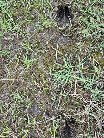 $499,900 | 1622 82nd Avenue Northwest, Williams, MN 56686