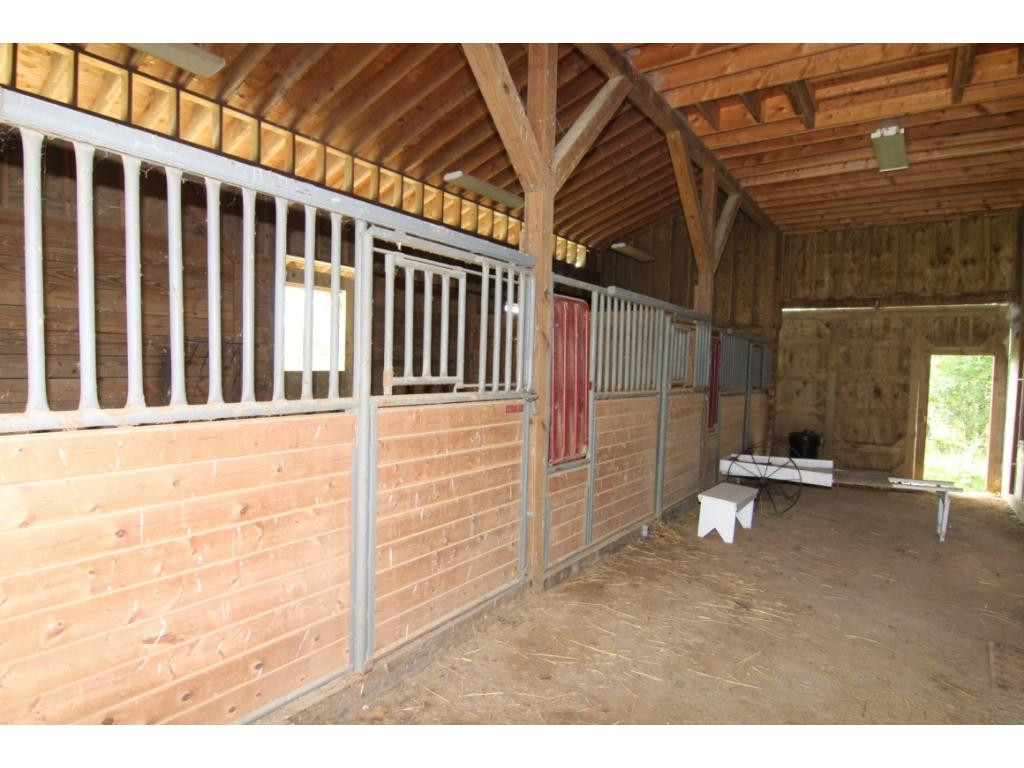 1321 Reece Hill Road Mountain City, TN 37683 - Photo 18 of 31 STALLS