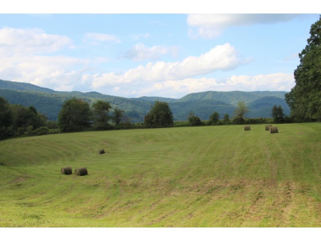 1321 Reece Hill Road Mountain City, TN 37683 - Photo 29 of 31 BACK PASTURE
