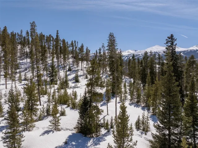 $1,645,000 | 203 Spalding Terrace, Breckenridge, CO 80424