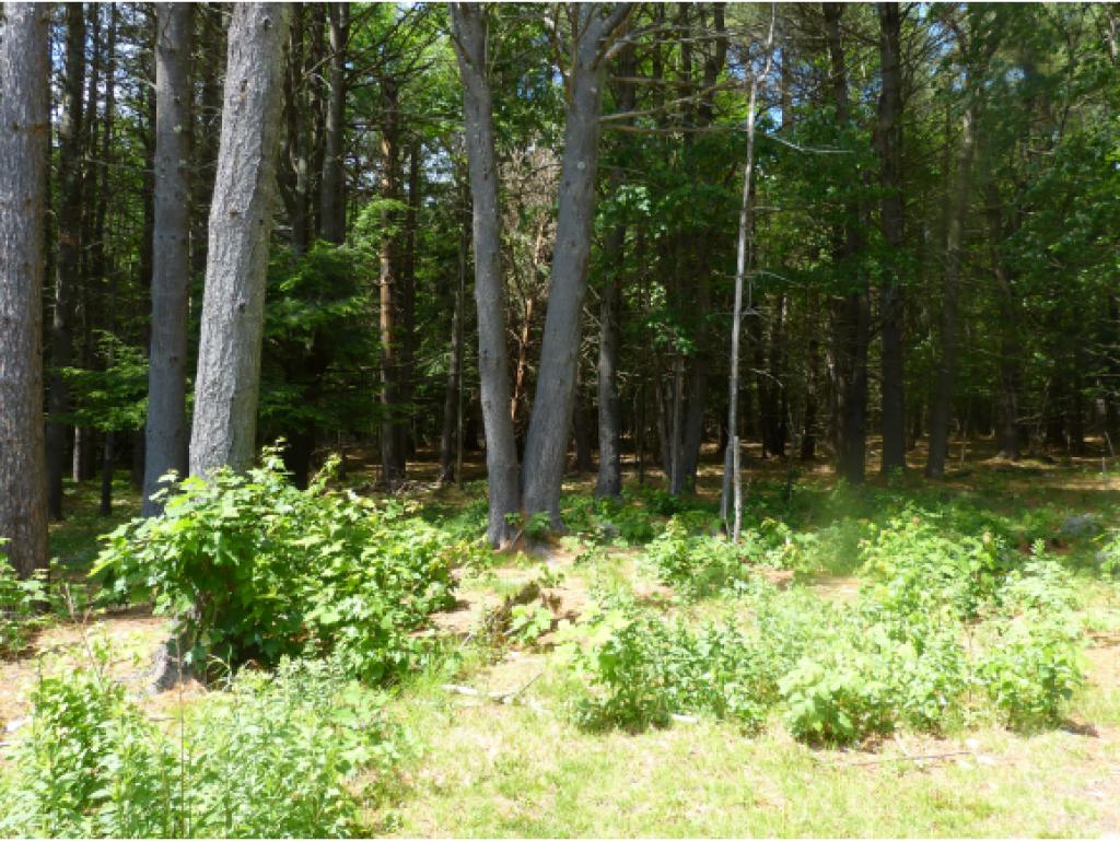 1275 New Boston Road Francestown, NH 03043 - Photo 19 of 22 Gallery Image 19
