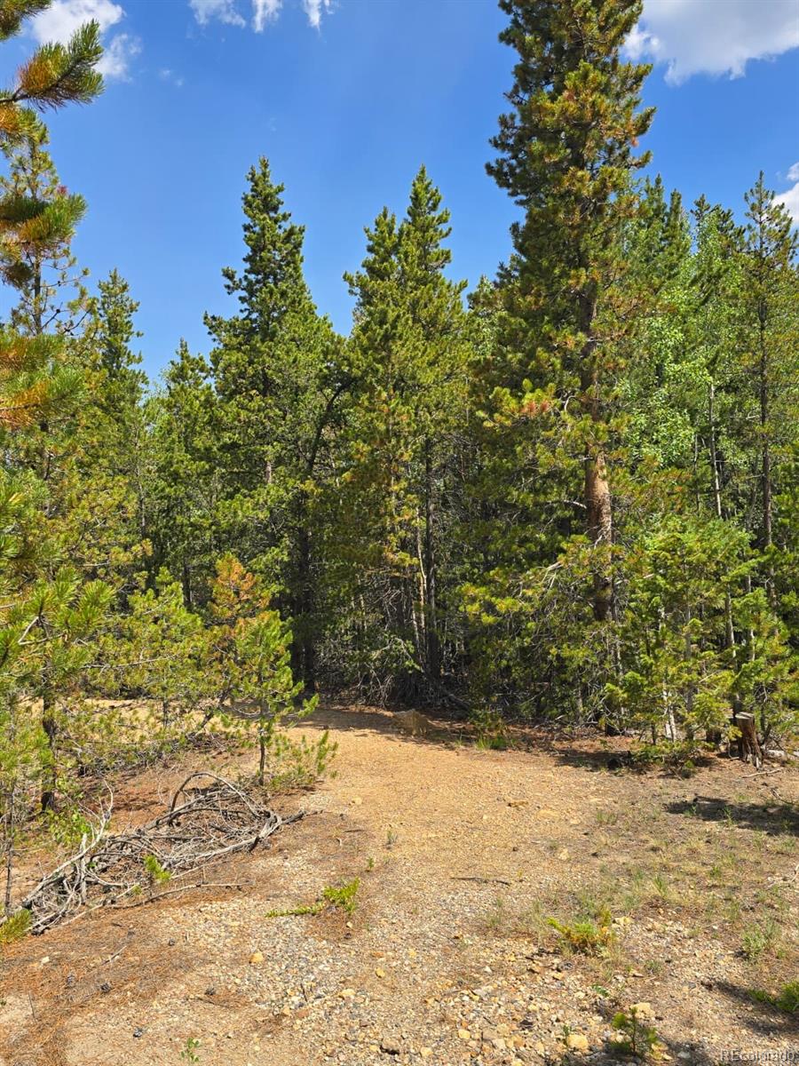 0 Virginia Canyon Road Central City, CO 80427 - Photo 2 of 5