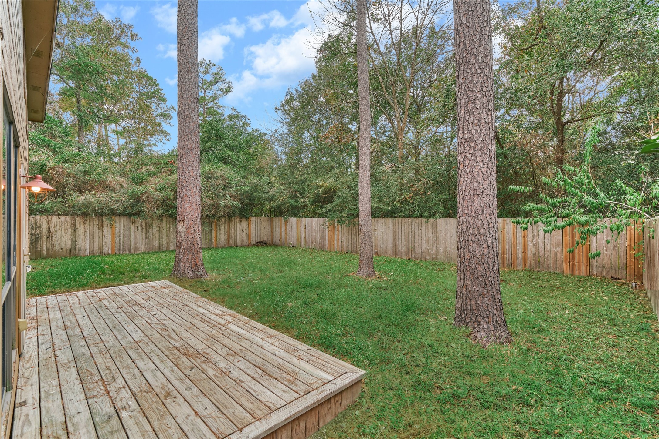 3 Field Flower Court Spring, TX 77380 - Photo 32 of 36 a view of a backyard with trees