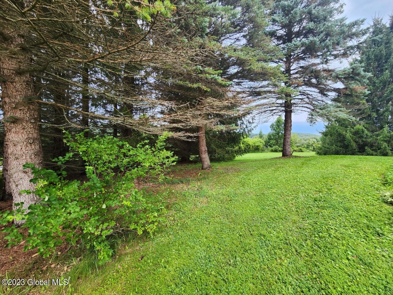 124 Crommie Road Carlisle, NY 12043 - Photo 11 of 48 20230804_151829