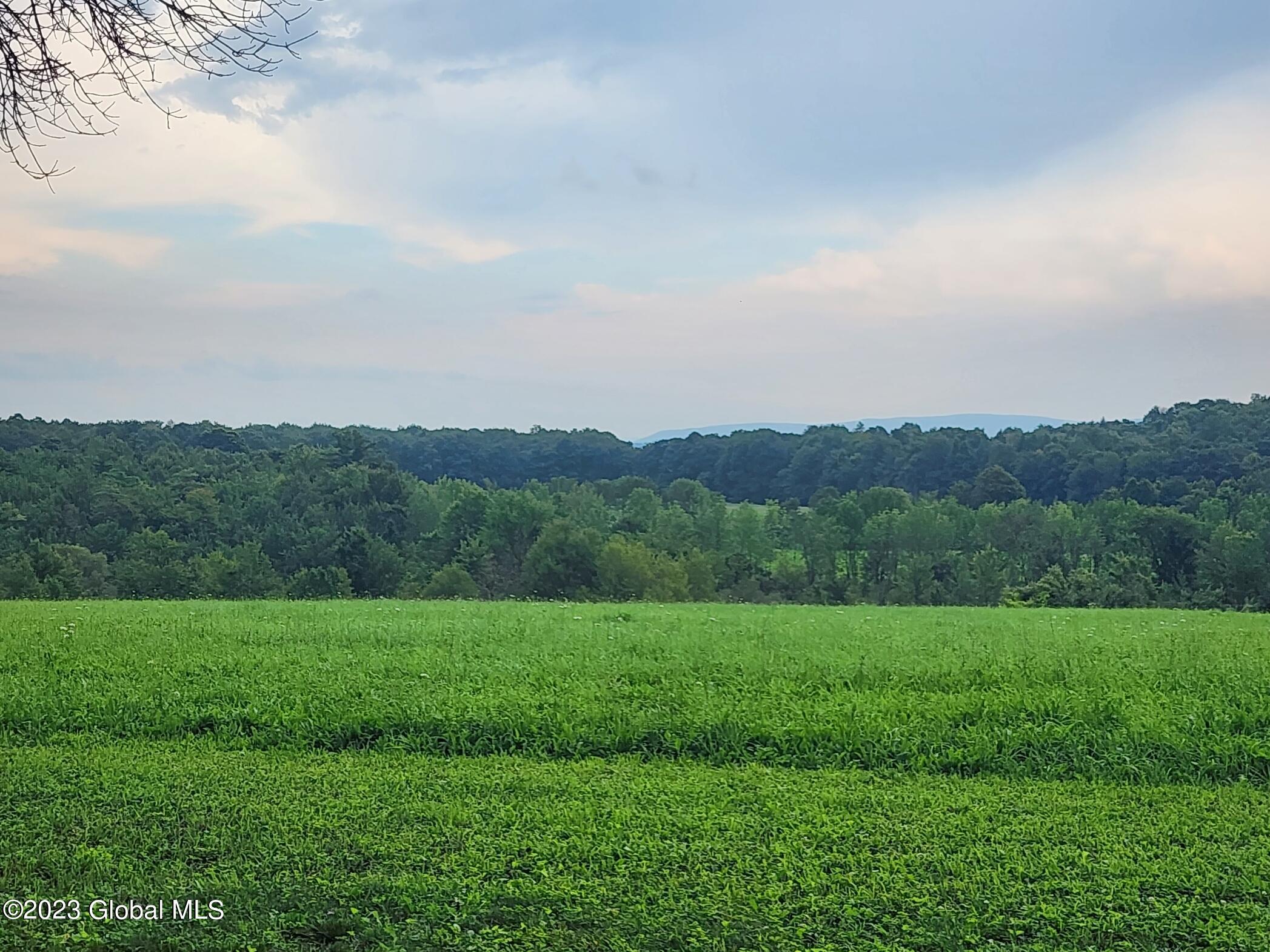 124 Crommie Road Carlisle, NY 12043 - Photo 12 of 48 20230804_152155