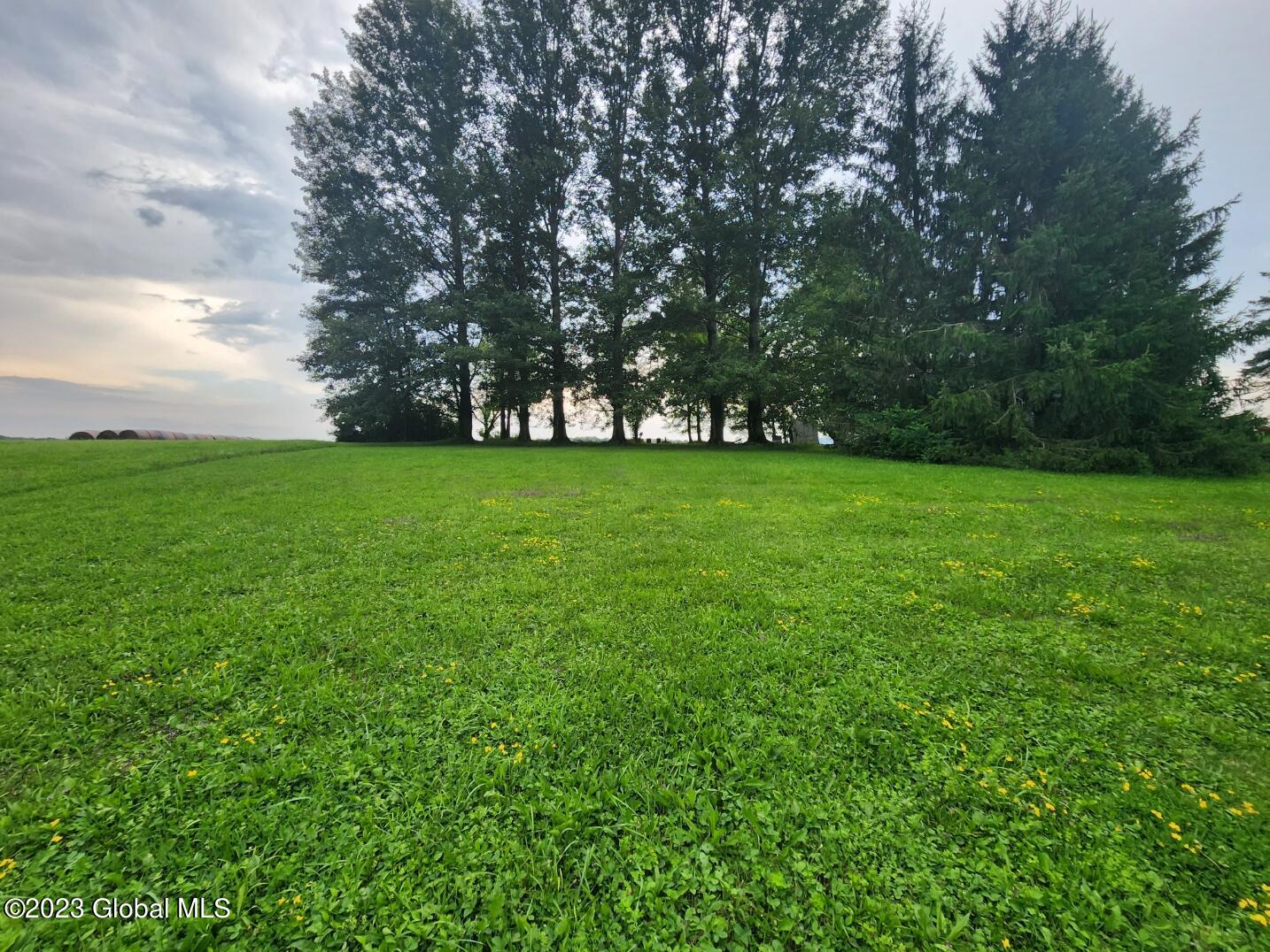 124 Crommie Road Carlisle, NY 12043 - Photo 14 of 48 20230804_152048