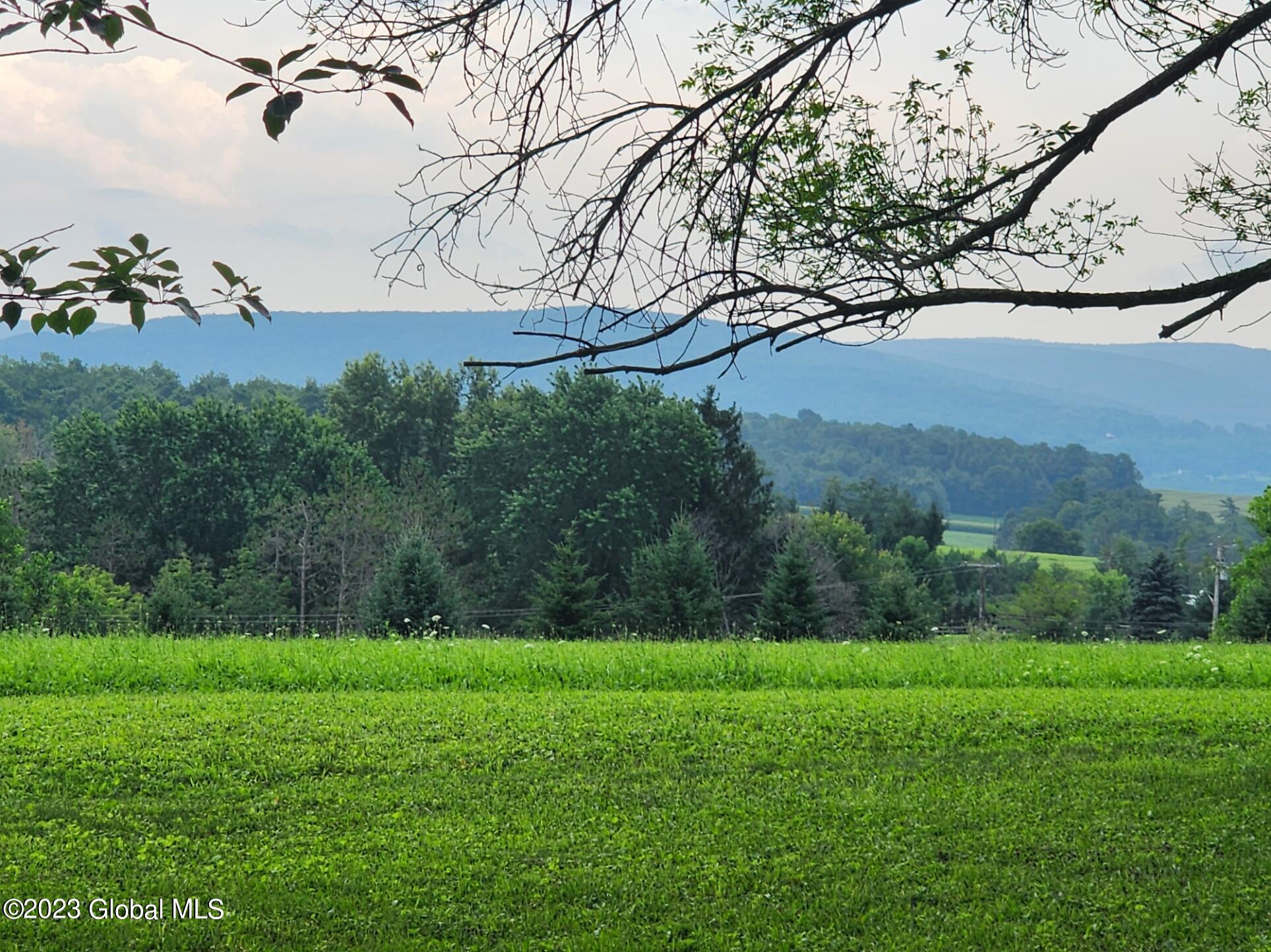 124 Crommie Road Carlisle, NY 12043 - Photo 16 of 48 20230804_152130