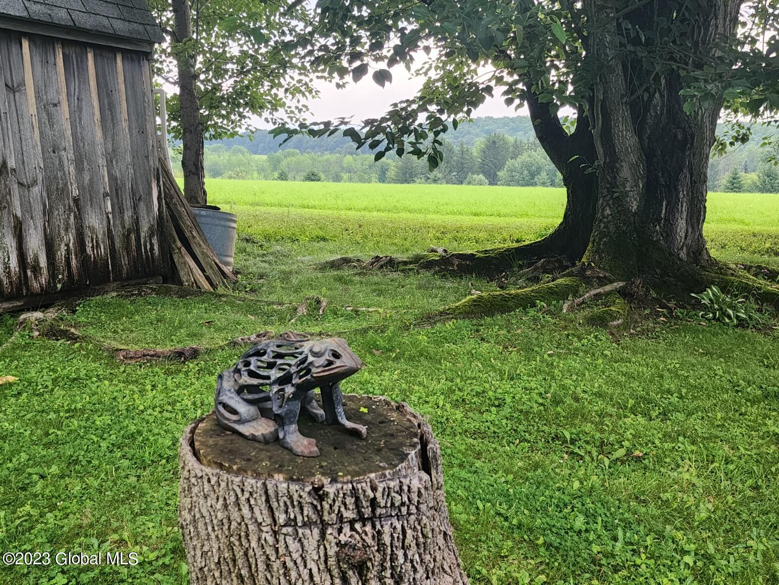 124 Crommie Road Carlisle, NY 12043 - Photo 6 of 48 20230804_152237