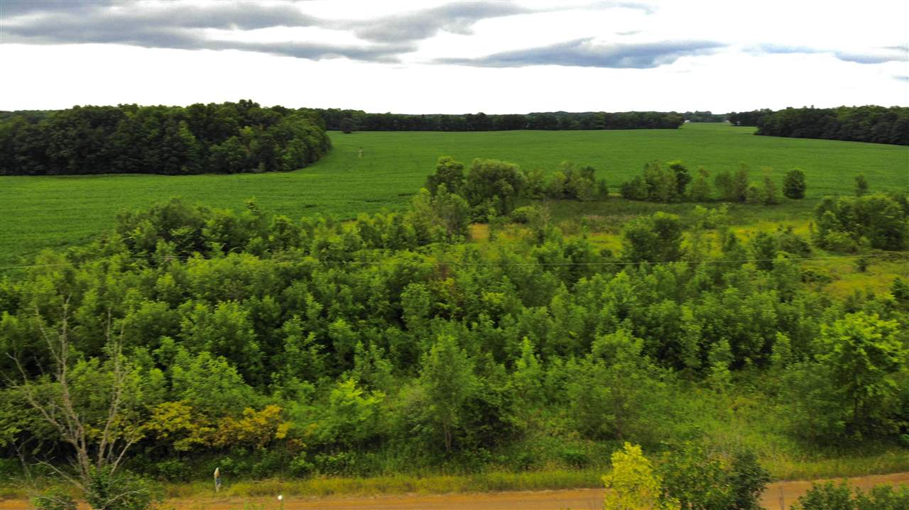 0 Cook Road Gaines, MI 48436 - Photo 9 of 14