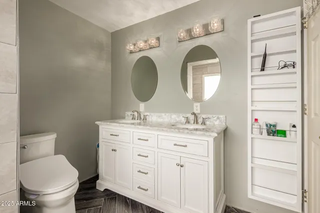a bathroom with a toilet a sink and a mirror
