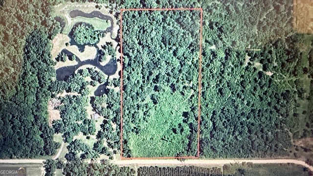 Lot 122 Alday Road Bainbridge, GA 39819 - Photo 2 of 4 a view of a yard with plants