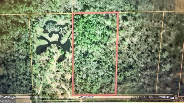 Lot 122 Alday Road Bainbridge, GA 39819 - Photo 4 of 4 a view of a yard