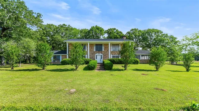 a view of a house with a big yard and potted plants and large trees